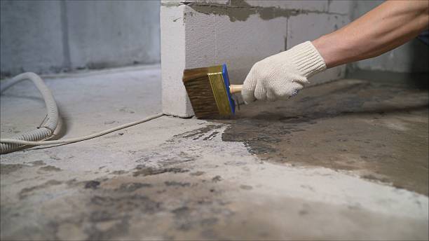 Top rated local Waterproofing specialists in Pineville, NC